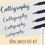 Bảng swatch nét bút luyện chữ Calligraphy Baoke