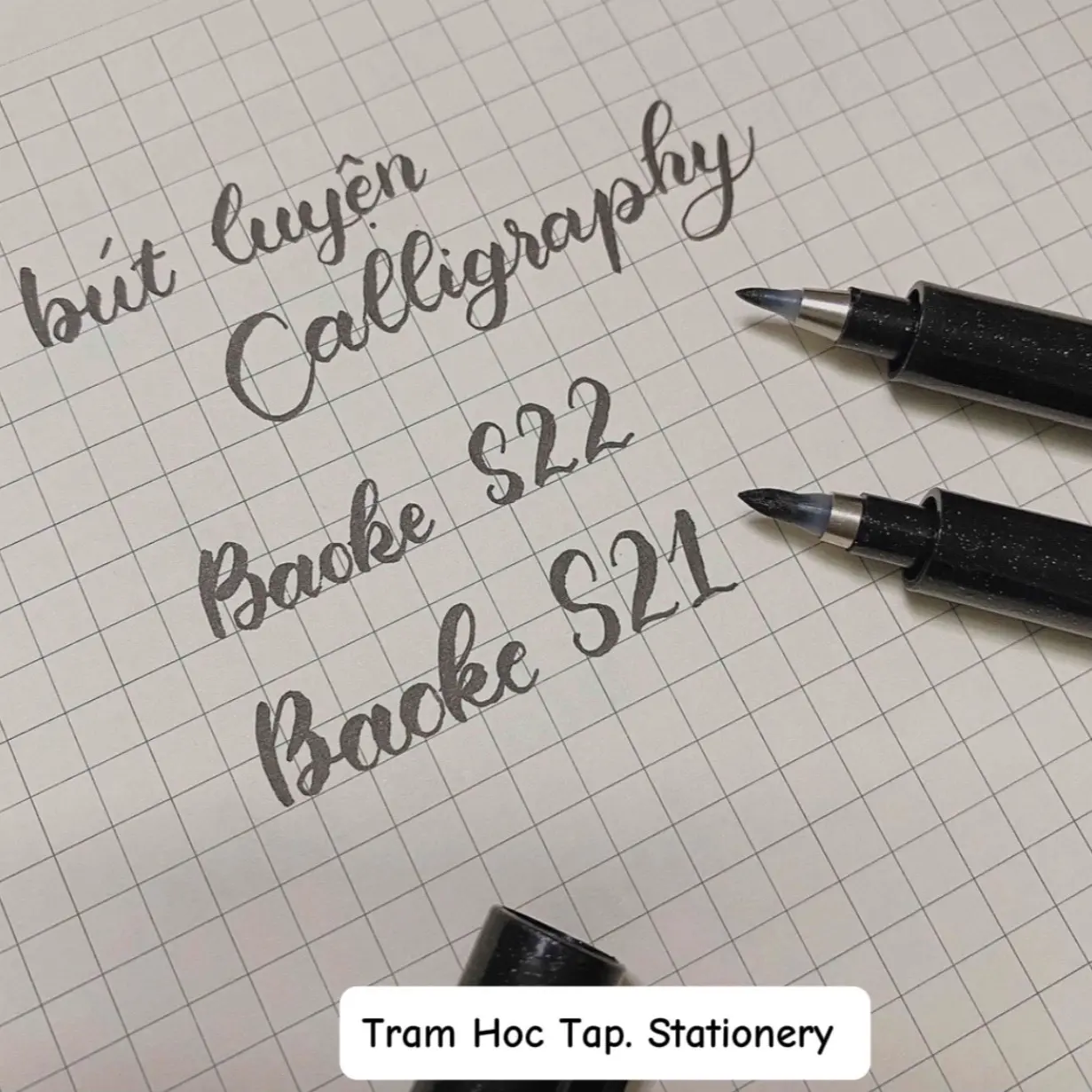 Cận cảnh ngòi bút brush Baoke S21 S22 Cận cảnh ngòi bút luyện chữ Calligraphy Baoke S21 S22
