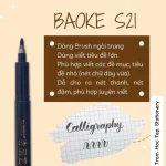 Bút luyện chữ Calligraphy Baoke S21 ngòi trung