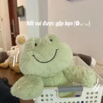 Gấu bông dễ thương hình ếch trong giỏ đồ