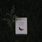 Nỗ lực đọc sách chủ động để tránh bẫy ảo tưởng kiến thức